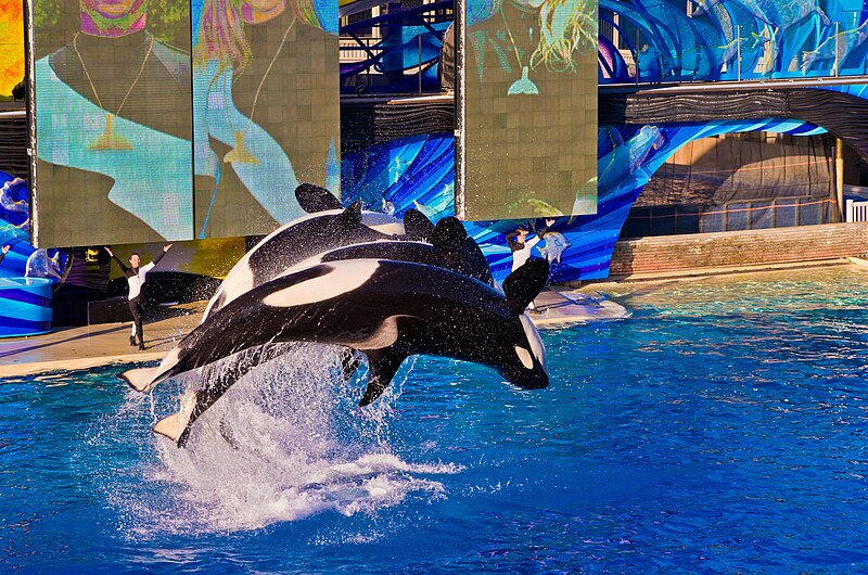 File:SeaWorld San Diego9.jpg