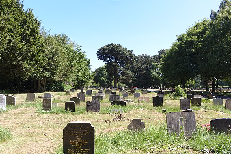 File:Section C, Plymyard Cemetery 1.jpg