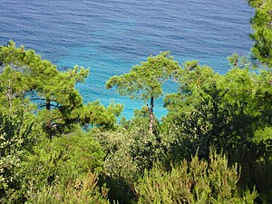 Mar Mediterrània: Altres denominacions, Història, Natura