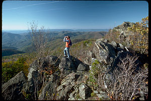 Shenandoah National Park SHEN3863.jpg