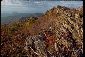 Shenandoah National Park SHEN9212.jpg