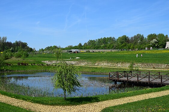 Pond in Silesian botanical Garden