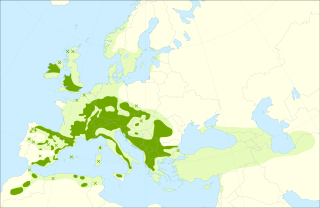 Descripcion d'l'imatge Sorbus aria range.svg.