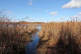 Creek Entrance.jpg-da Spruce Leyk Bog