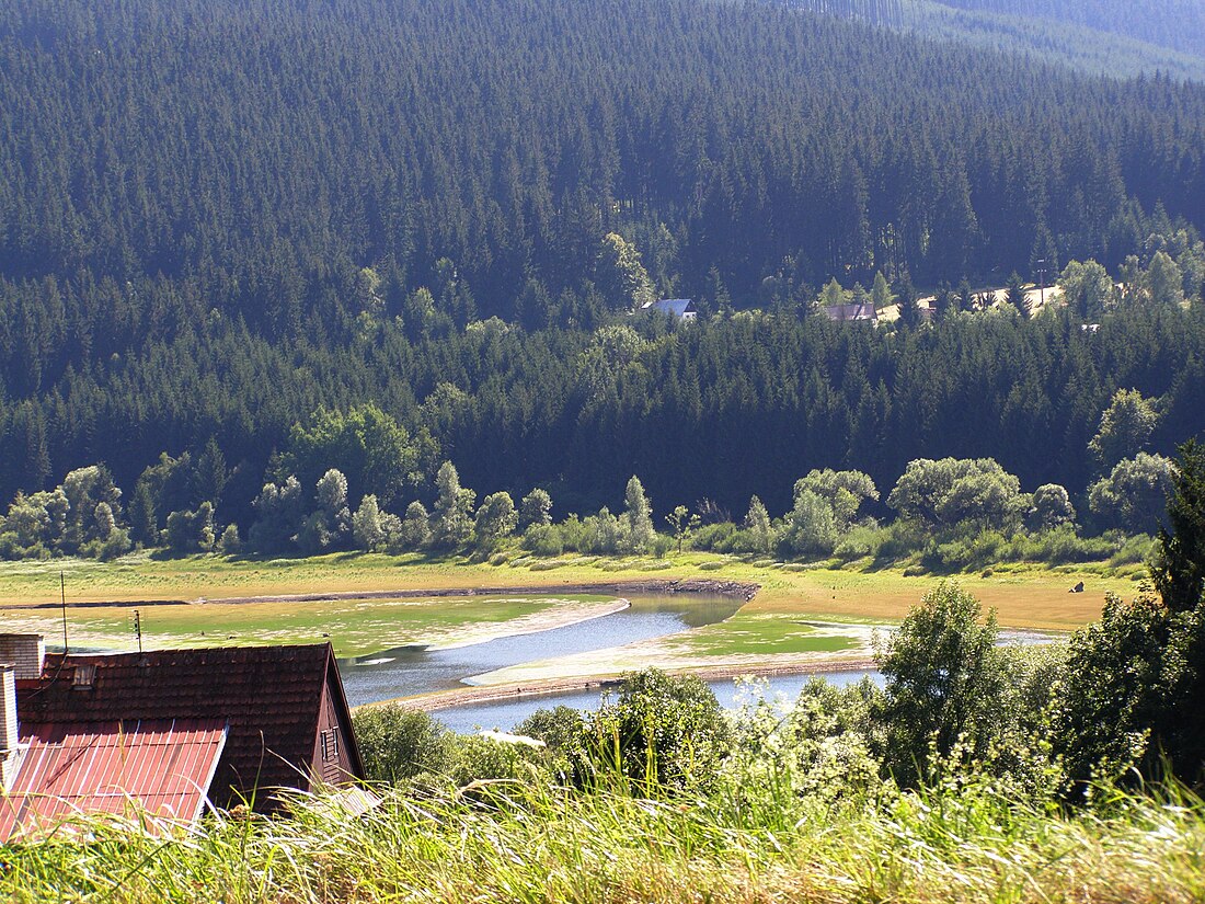 Старе Гамри