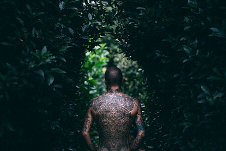 ไฟล์:Staring down Leafy Lane (Unsplash).jpg