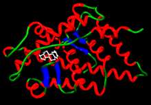 Anabolic steroid withdrawal depression