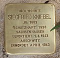 image=https://commons.wikimedia.org/wiki/File:Stolperstein_Feuerbachstr_9_(Stegl)_Siegfried_Kniebel.jpg