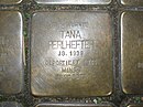 Stolperstein Tana Perlhefter, 1, Heiligkreuzgasse 13, city center, Frankfurt am Main.jpg