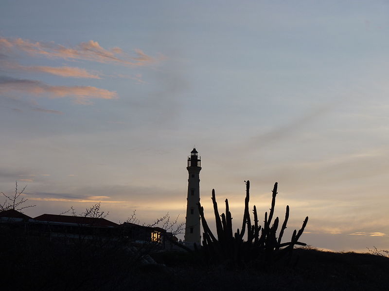 File:Sunrise at the Lighthouse with cactus.JPG