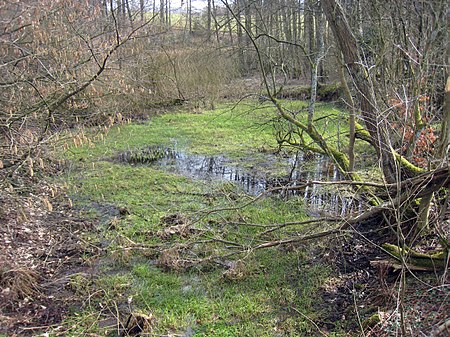 Töckelhausener Bachtal.2