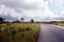 Tanzam Highway in Mikumi National Park T1 road sign Mikumi TZ.jpg