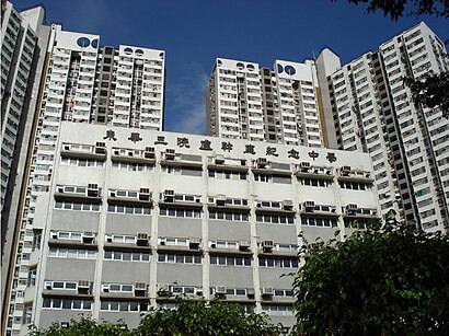 怎樣搭車去東華三院盧幹庭紀念中學 - 景點介紹