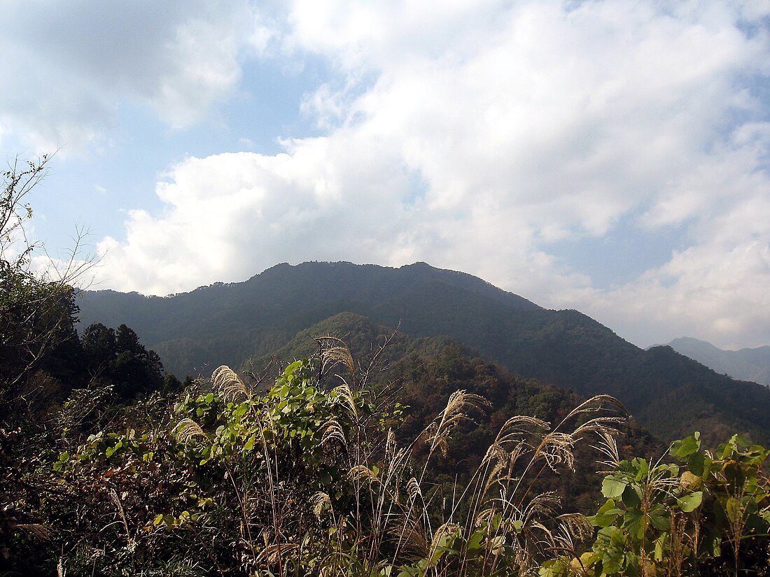 高川山