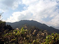 高川山のサムネイル