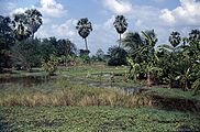 Schwemmlandebene bei Suphan Buri