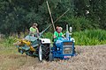 The “Pikkeling”, harvest scenes, field activities. 12