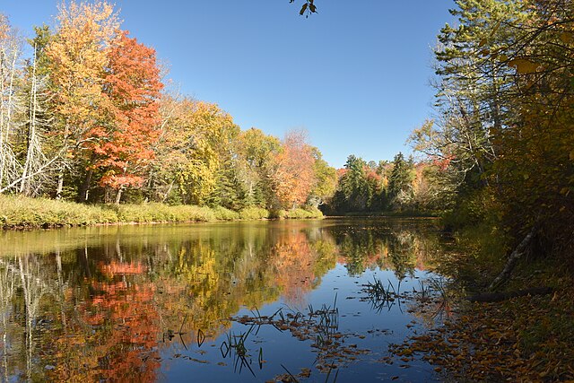The Cedar River in October.
