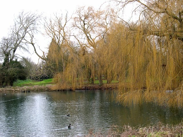 St. Peters' Pool, Wellhead Gardens. The pool referred to in the town's founding legend
