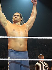 Khali wrestler discount