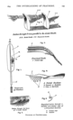 Explanatory diagram from Pycraft, W. P. (1893). "The Interlocking of Feathers". Natural Science: A Monthly Review of Scientific Progress. Vol. 3. Macmillan. p. 199.