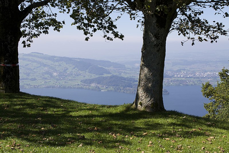 File:The Zugerberg overlooking Lake Zug - panoramio (11).jpg