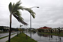 Typhoon, Okinawa, Japan 2010 The wind whips through palm trees as Typhoon Chaba blows ashore at U.S. Marine Corps Base Smedley D. Butler, Okinawa, Japan, Oct. 28, 2010 101028-M-VG363-103.jpg
