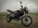 Vorschaubild für Triumph Tiger 800