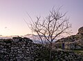 Image 115Tree and stone wall near the ruins of the São Miguel Church at dusk, Aldeia de Monsanto, Portugal