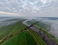 Die Treene im FFH-Gebiet Treene Winderatter See bis Friedrichstadt und Bollingstedter Au