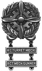 USAAF - Tech Badge BW.jpg