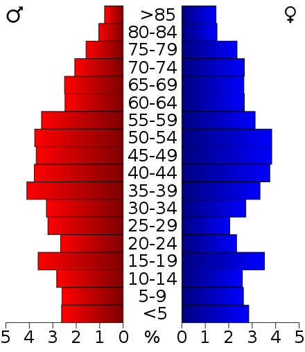 2000 census age pyramid for Hardin County