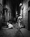 Varanasi street by Anton Gutmann