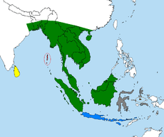 Mapa současného rozšíření varana skvrnitého: žlutě – V. s. salvator zeleně – V. s. macromaculatus červeně – V. s. andamanensis modře – V. s. bivittatus hnědě – V. s. ziegleri šedě – doposud nepopsané subspecie