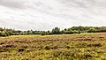 * Nomination Overgrown fairly wet habitat. Location, Stuttebosch in the lime valley. Friesland province. --Agnes Monkelbaan 04:41, 26 September 2020 (UTC) * Promotion  Support Good quality -- Johann Jaritz 04:44, 26 September 2020 (UTC)