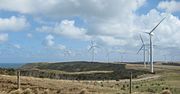 Thumbnail for Woolnorth Wind Farm