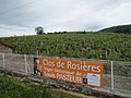 Vignette pour Vigne de Louis Pasteur