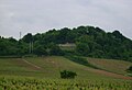 Clos des Montaigus y "Chateau de Montaigu"