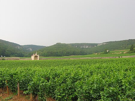 Gevrey-Chambertin