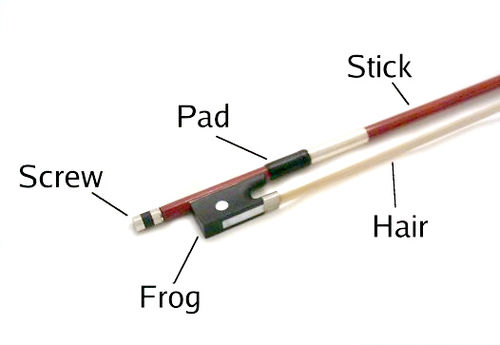 The position of the frog on the bow Violin bow parts.jpg