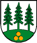Brasão de Wald im Pinzgau