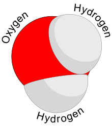 A water molecule consists of two hydrogen atoms and one oxygen atom Water molecule (1).svg