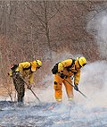 New Jersey Forest Fire Service handcrew suppressing a 2009 wildfire