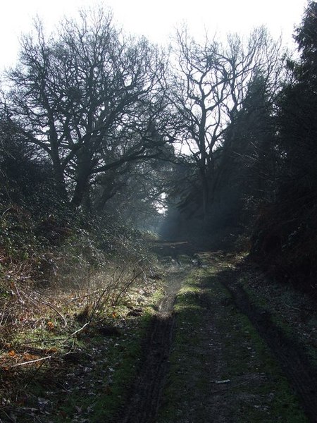 File:Winter sunshine - geograph.org.uk - 689574.jpg