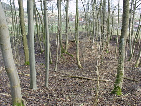 Wolfsbronn, Burgstall Lunkenburg (1)