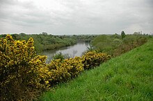 Woolston Eyes nature reserve, near Thelwall