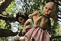 Xochimilco Dolls' Island.jpg