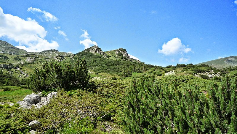 File:Yakoruda, Bulgaria - panoramio (25).jpg