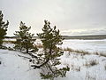 Der Strand im Januar