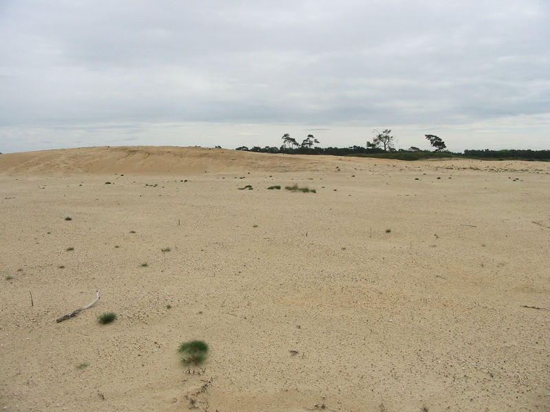 File:Zandverstuiving hoge veluwe 1.jpg